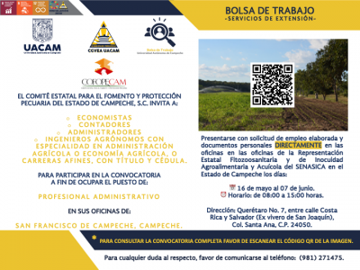 Vacantes del Comité Estatal para el Fomento y Protección Pecuaria del Estado de Campeche, S.C. (COFOPECAM)